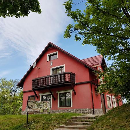 Apartamenty U Bodzia Stronie Śląskie 외부 사진