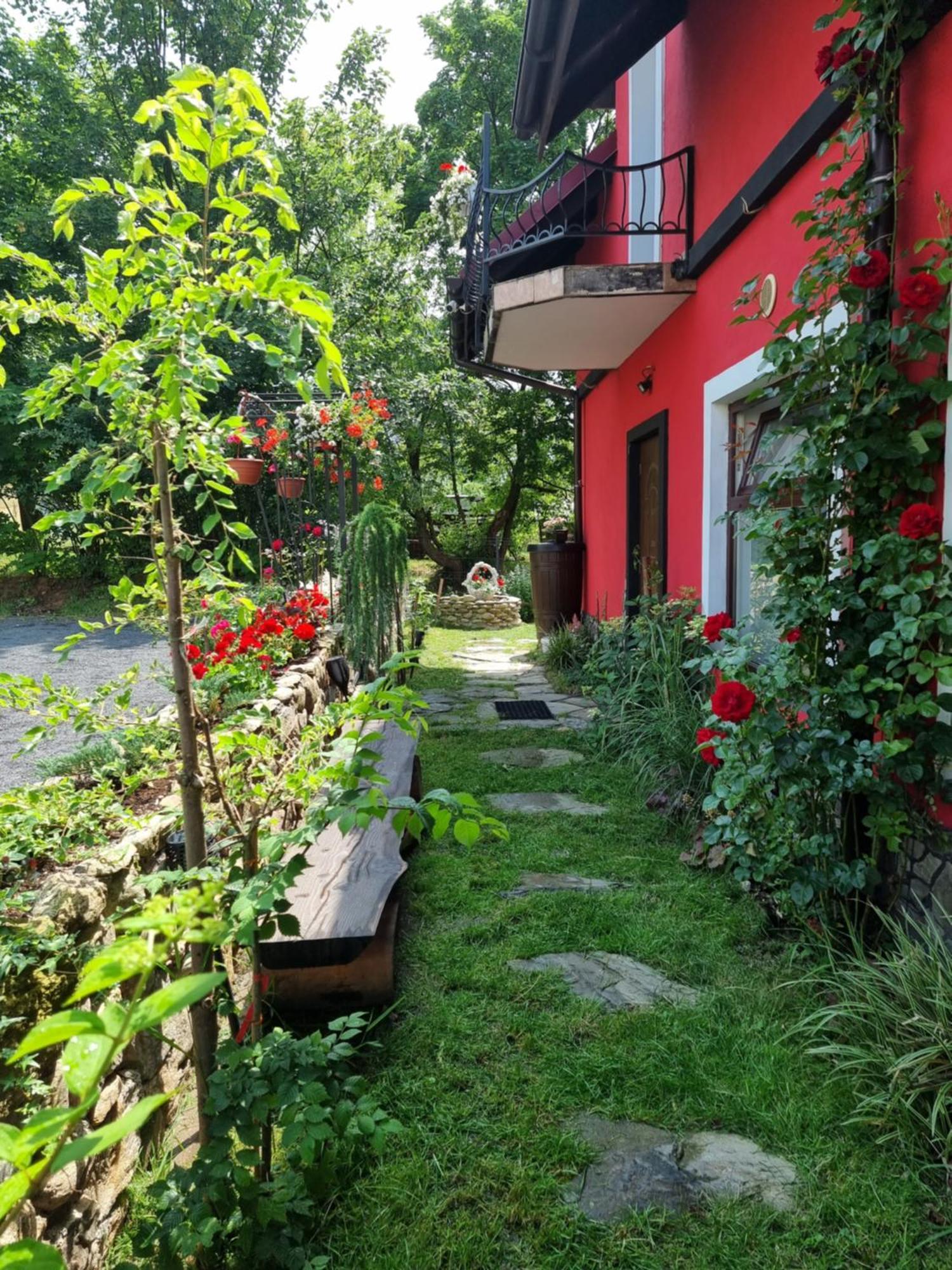 Apartamenty U Bodzia Stronie Śląskie 외부 사진